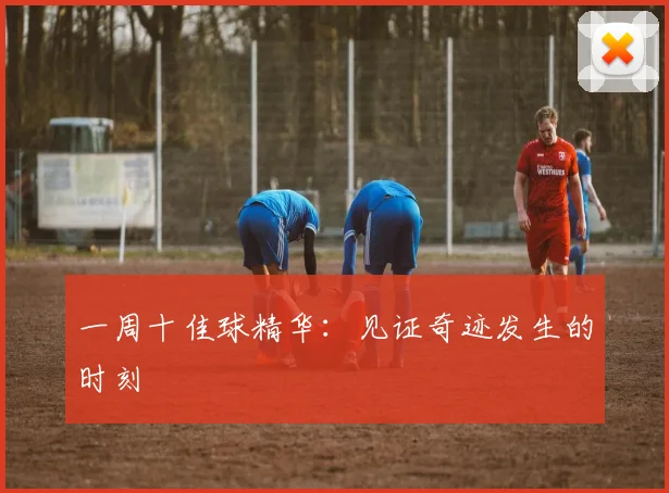 一周十佳球精华：见证奇迹发生的时刻
